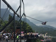 -梦幻奥陶纪景区