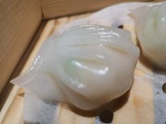 -同庆楼(天鹅酒家店)