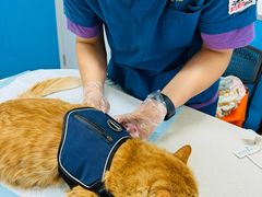 -康爱犬猫诊所·牙专科·骨外科·影像内科(丰宁店)