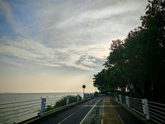 -贡湖湾湿地公园