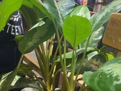 -木屋烧烤(白石洲店)