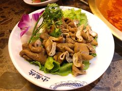 -小龙坎火锅(全球总店)