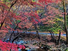 -关门山森林公园
