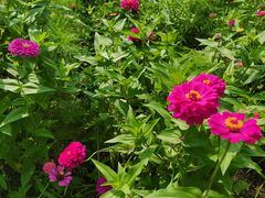 -瀛海足球主题公园