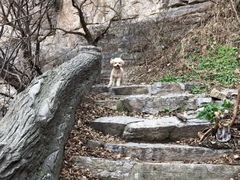 -龙洞风景区-藏龙涧