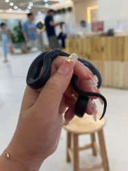 -Moni星球萌宠·小马宝莉·灵蛇·高端高阶全萌宠互动体验俱乐部(红豆国际广场店)