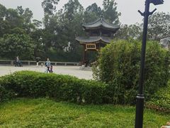 -张钰强中医正骨推拿连锁(唐家人才公寓店)