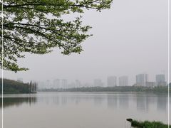 -飞来湖湿地公园