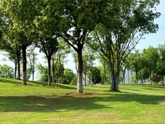 -盘龙城国家考古遗址公园