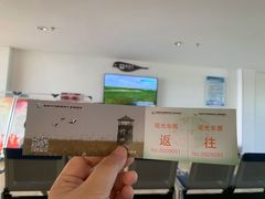 -盐城丹顶鹤湿地生态旅游区