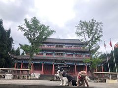 -武陵山森林公园