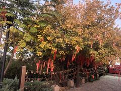 -南翠屏公园