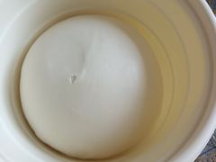 -1937青岛老味道·海肠捞饭·青岛菜(大鲍岛栈桥店)