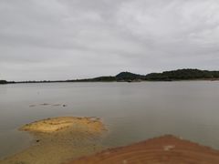 -鹤之洲湿地公园