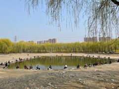 -东坝千亩湖公园