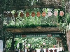 -西双版纳原始森林公园