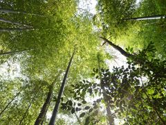 -溪口-滕头旅游景区