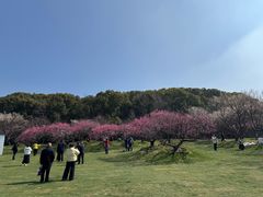 -无锡梅园公园