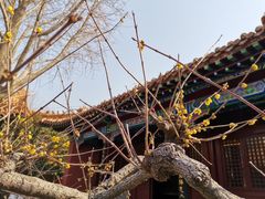 -戏马台景区
