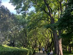 -玲珑塔公园