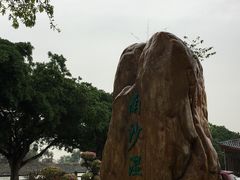 -大湾区中央湿地公园