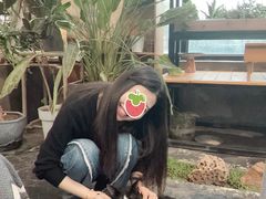 -北马山庄植趣咖啡