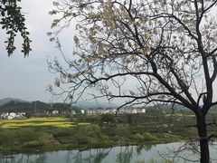-婺源月亮湾