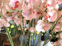 -八府香鸭·啫啫煲(华山路店)