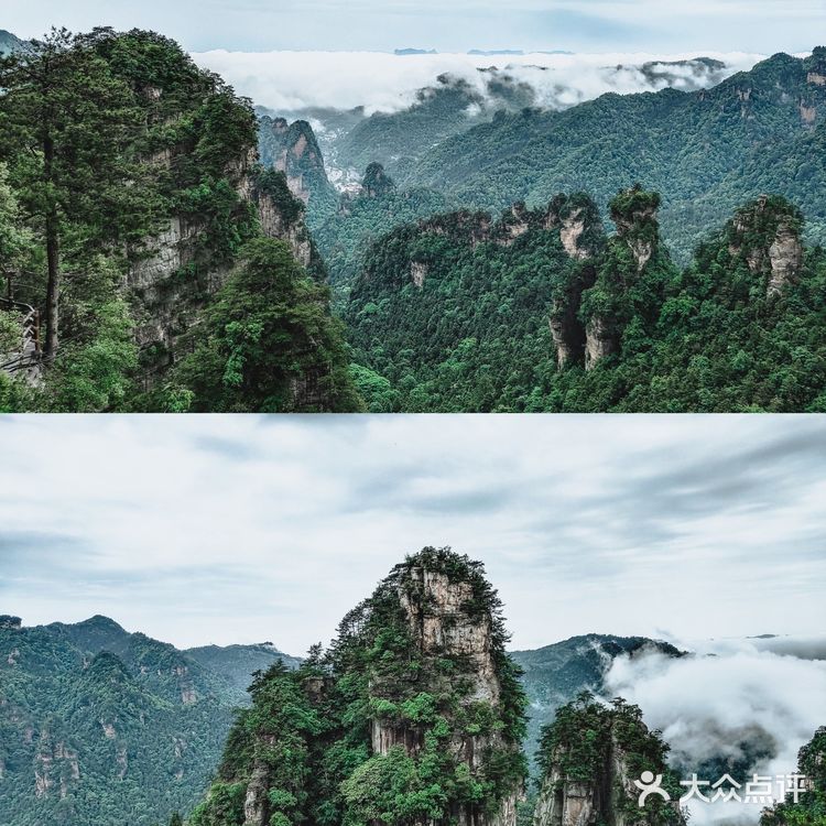 张家界国家森林公园·零基础上手轻松玩转😁