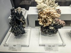 -湖南省地质博物馆