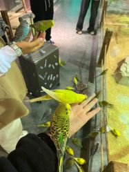 点击看大图 -酷嗒动物文化乐园(cutezoo西溪乐天城店)