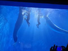 -多彩贵州城极地海洋世界