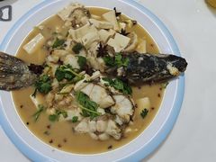 -煲来饱去冷水鱼