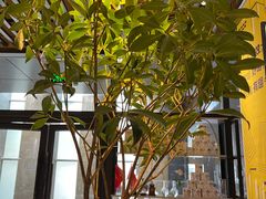 -苏州樊登书店·咖啡