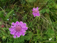 -白草畔自然风景区
