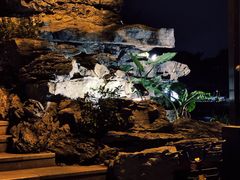 -荔湾湖公园