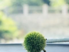 -京北渔家傲