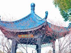-无锡梅园公园