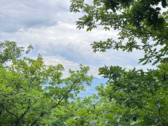 -吉林市朱雀山国家森林公园