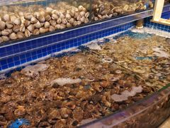 水产区-乔哥铭洋海鲜自助(皇城恒隆广场店)