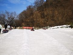 -少华山国家森林公园