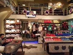 -猫咪博物馆(顶澳仔猫街店)