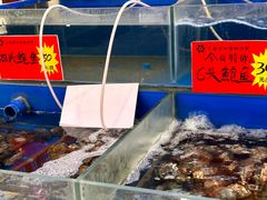 -东豪园林海鲜酒家(南港路辅路店)