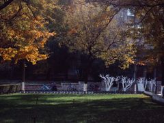 -山东大学(趵突泉校区)