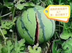 -禾美嘉医疗美容