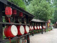 -合肥滨湖国家森林公园