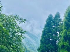-娄山关景区
