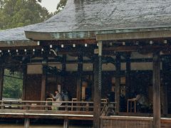 -西芳寺(苔寺)
