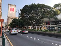 -丰泽(尖沙咀海洋中心店)