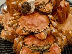 清水大闸蟹-王宝和酒家(黄浦店)